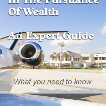 In The Pursuance Of Wealth – An Expert Guide